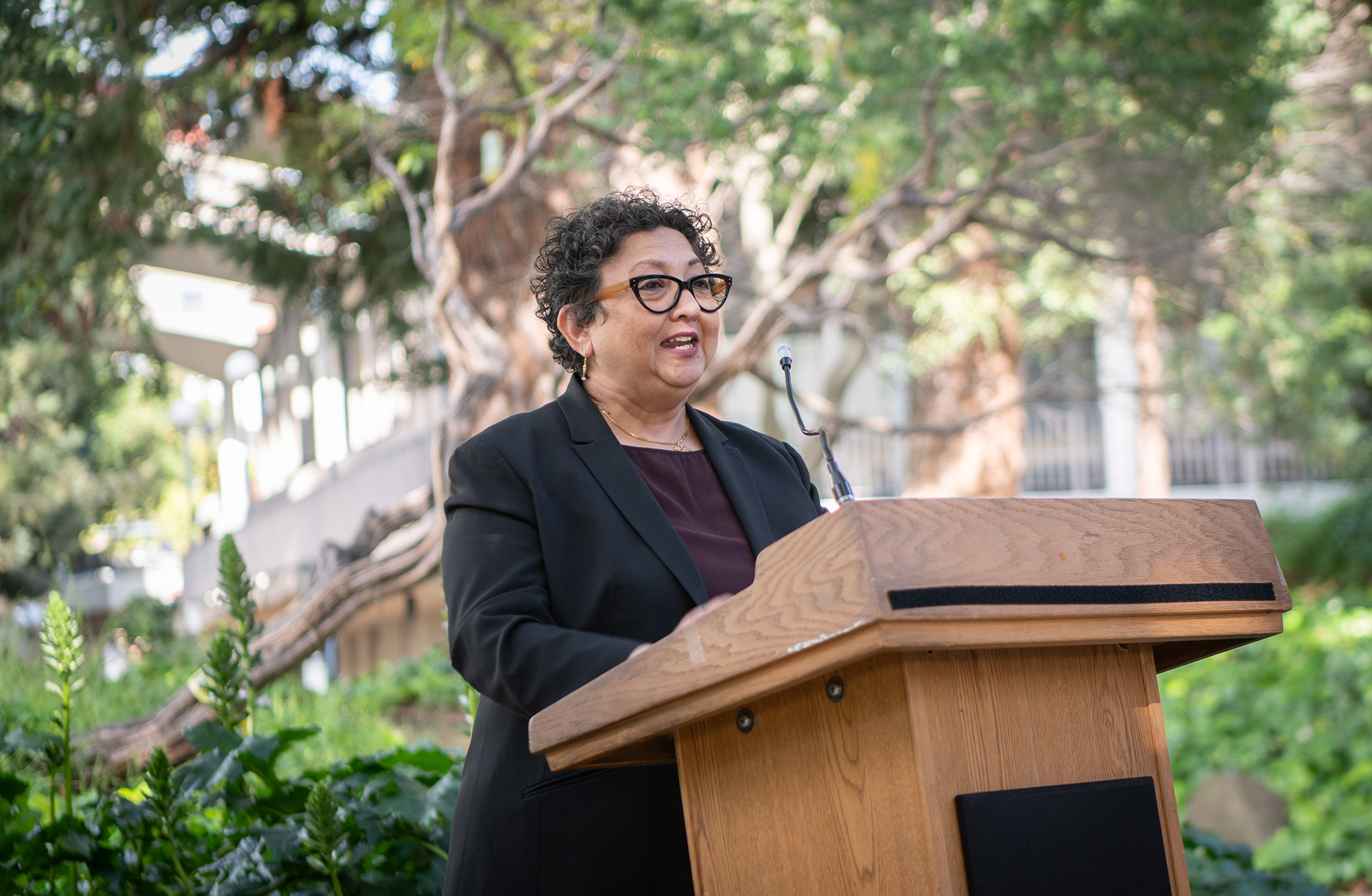 Person speaks at a podium