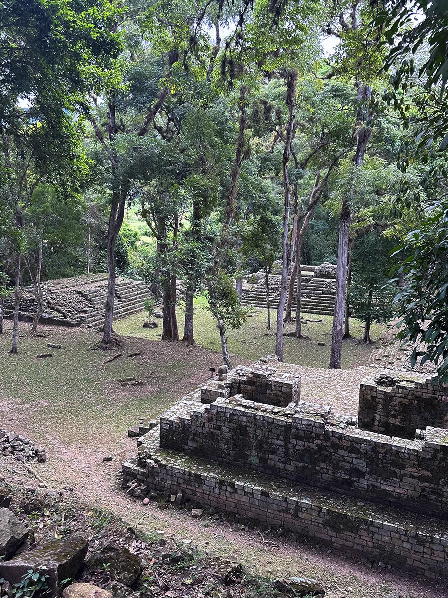 Trees grow between the ruins of stacked stone buildings and steps.
