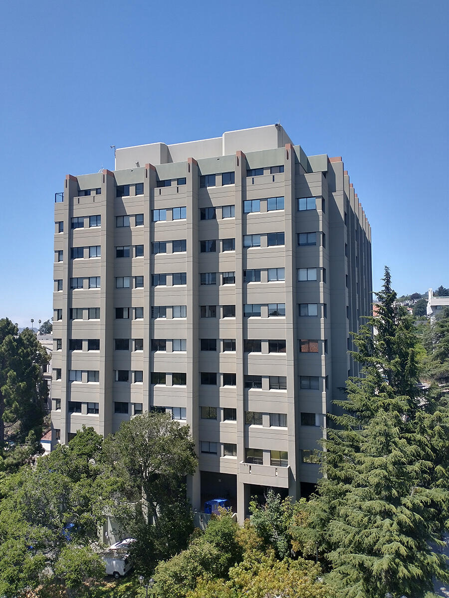 Evans Hall rises above the trees on Berkeley's campus