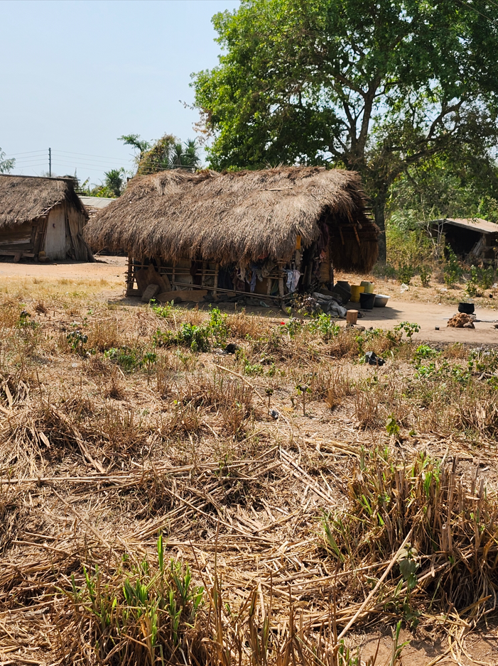Villagers' home