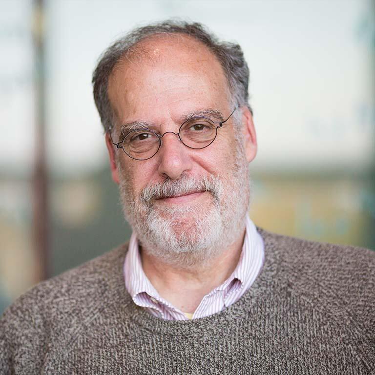 Steven Kahn, Dean of Mathematical and Physical Sciences