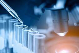 Lab Image