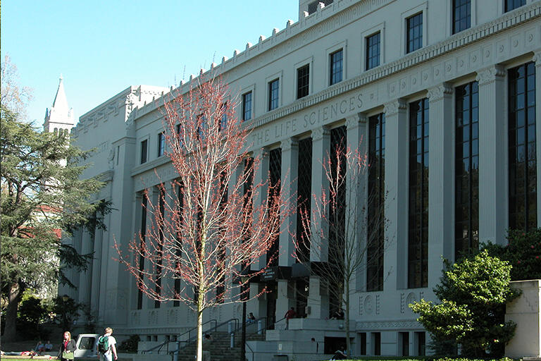Exterior shot of large white building on campus with a tower in the background. Two people walk near the entrance.