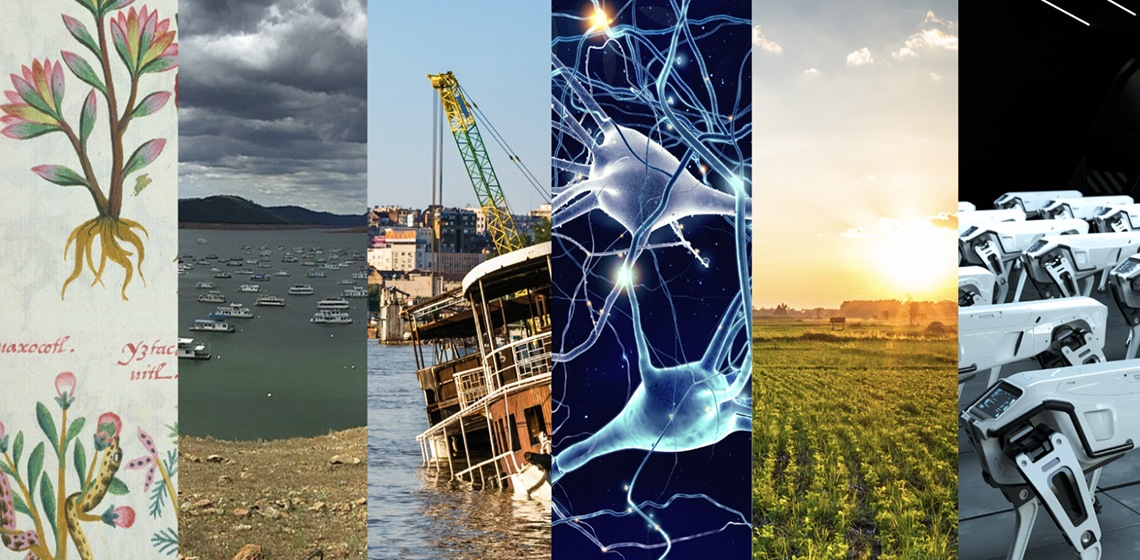 Vertical slices of images: scientific illustration of plants; low-tide riverbank; sinking boat; graphic of neuron; field; robots