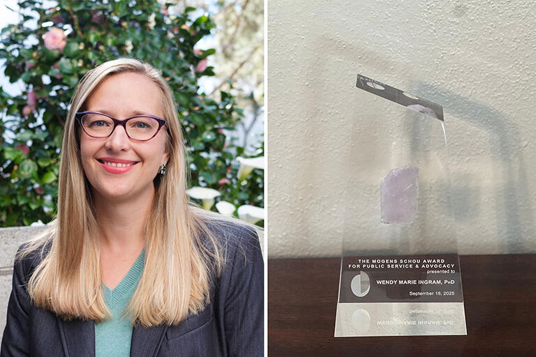  The Mogens Schou Award for Public Service and Advocacy presented to Wendy Ingram in 2025, a tribute to her global leadership in destigmatizing mental health