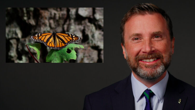 Screenshot of 101 of Coevolution video with Noah Whiteman and a monarch butterfly in the corner