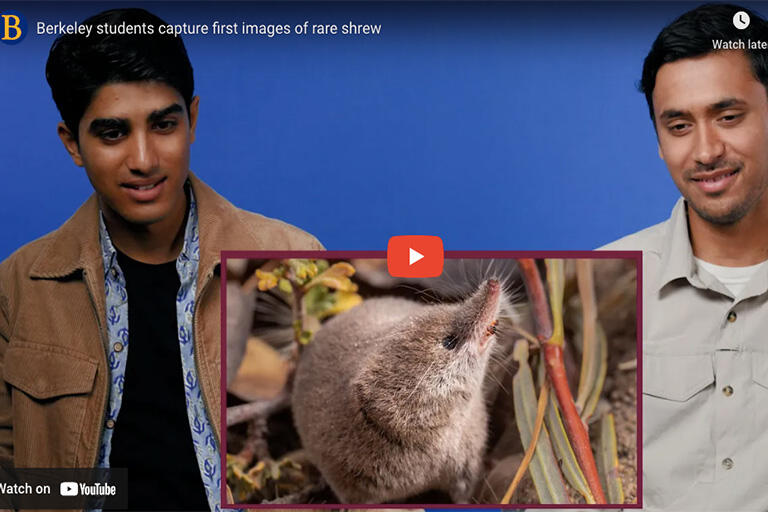 Screenshot of video with two students looking at a shrew