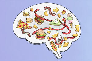 An outline of the human brain as seen from the side, filled with images of high-fat foods