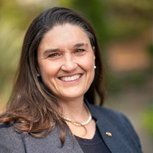 Jennifer Johnson-Hanks, executive dean of the College of Letters & Science