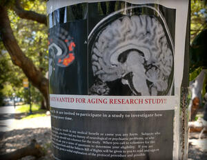 A flyer invites people to participate in a research study on aging. (UC Berkeley photo by Alexander Rony)
