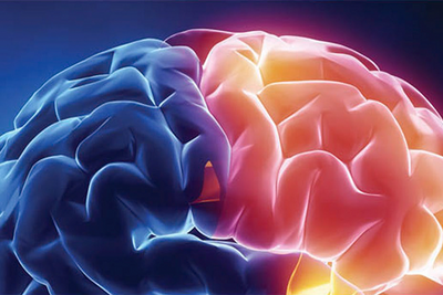 an artistic rendering of the folds of the human brain, colored blue and bright yellow and red