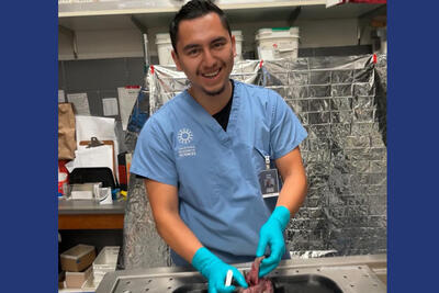 Man wearing blue scrubs and gloves holds a specimen and scalpel in a lab