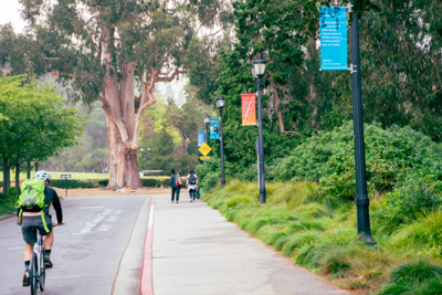 Sidewalk on campus with colorful language banners on the posts above