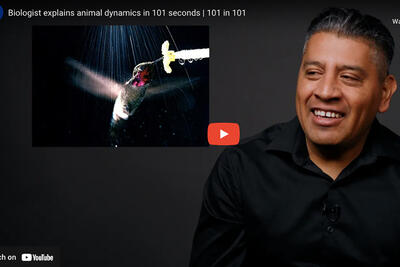  Biologist explains animal dynamics in 101 seconds